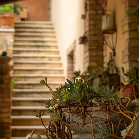 Bauernhof Col Morino Pineto