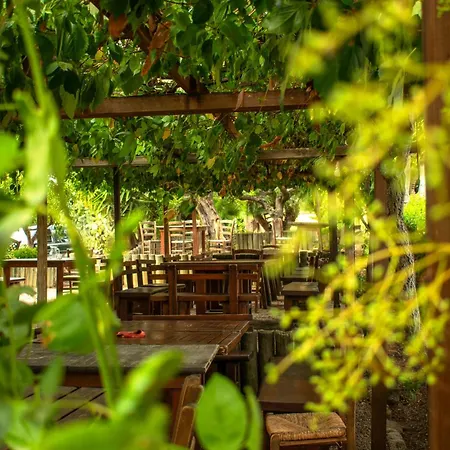 Col Morino مزرعة للإقامة *