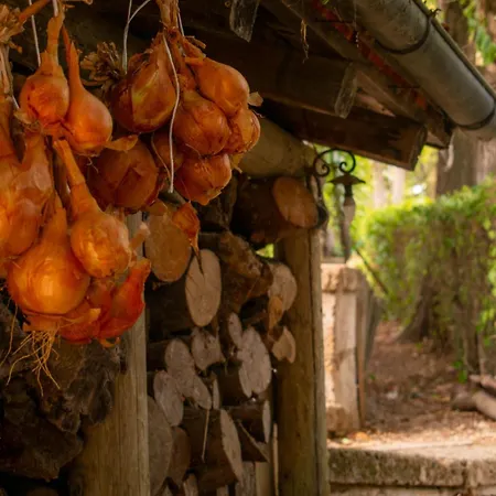 Bauernhof Col Morino *