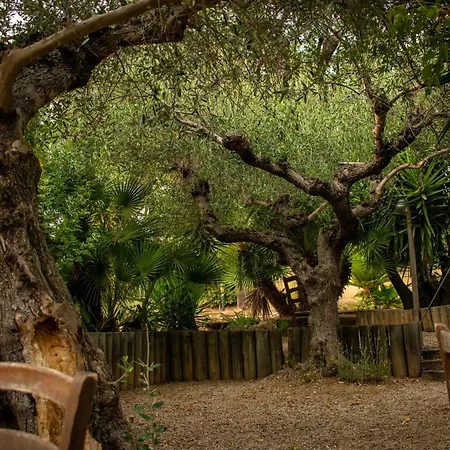 مزرعة للإقامة Col Morino