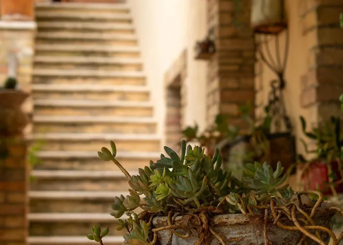 Farmház Col Morino Pineto